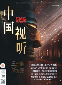 中國視聽雜志